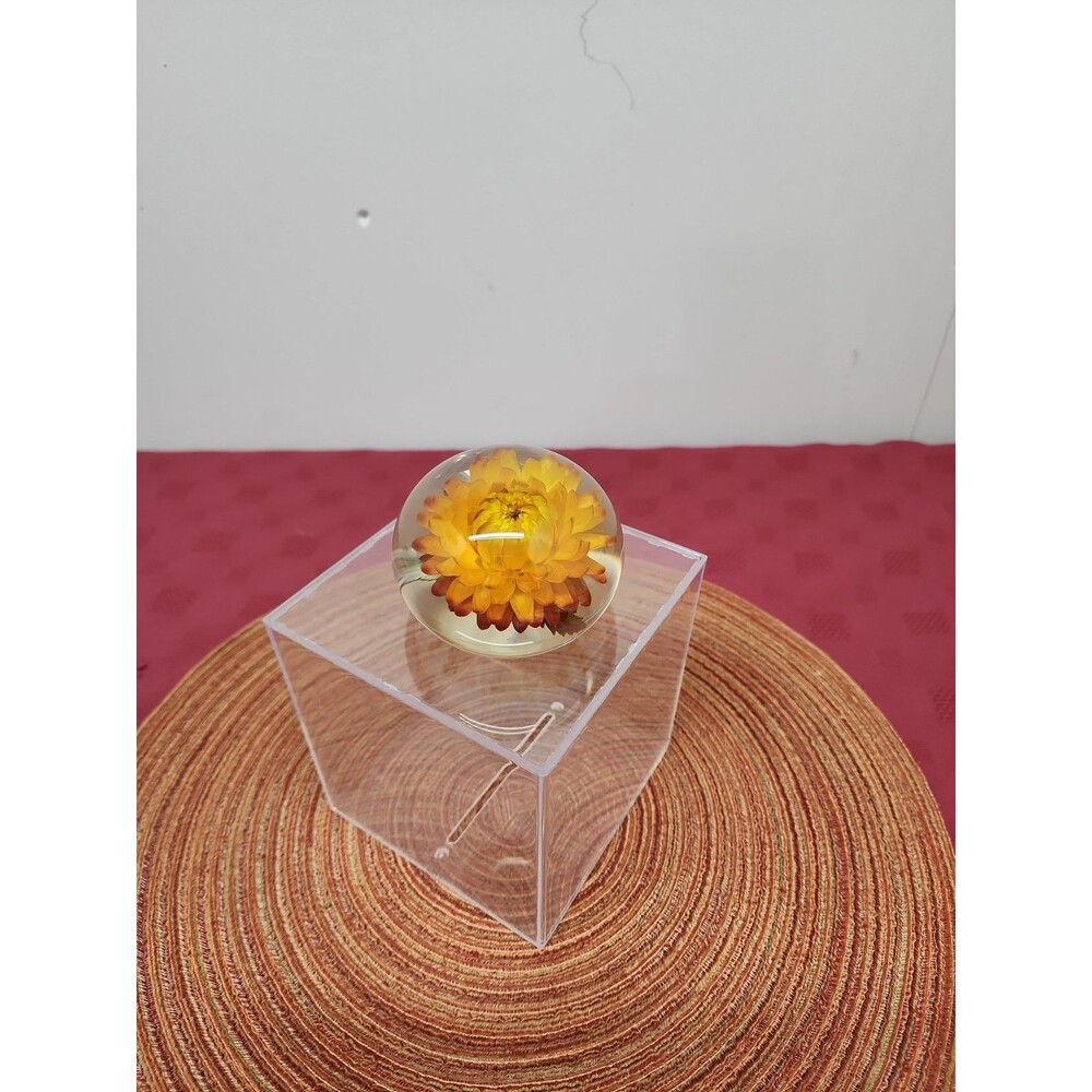 VTG Tarax Infinity 60MM Lucite Paperweight Golden Everlasting Daisy/Strawflower